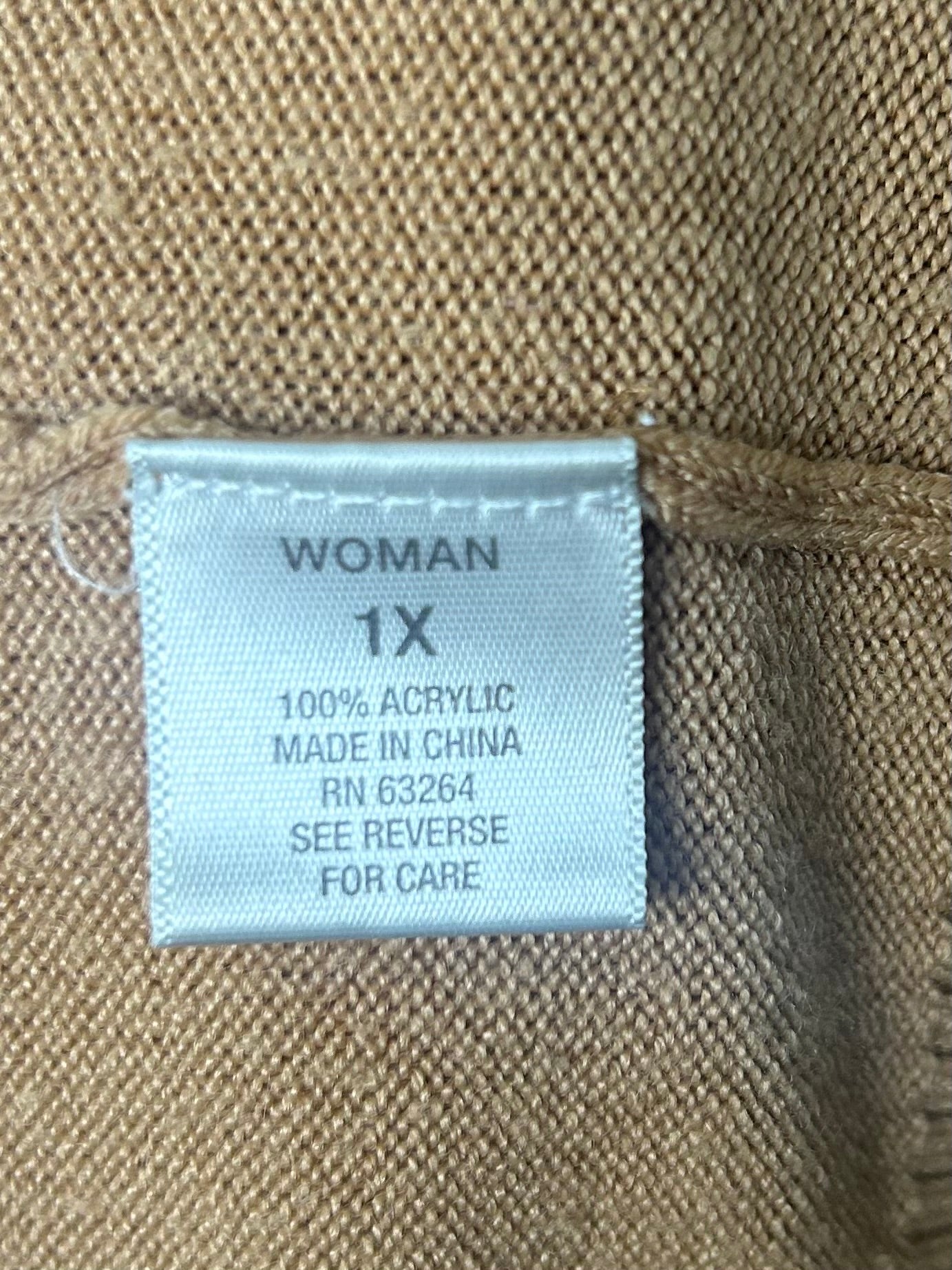 Dressbarn sweater (1x)