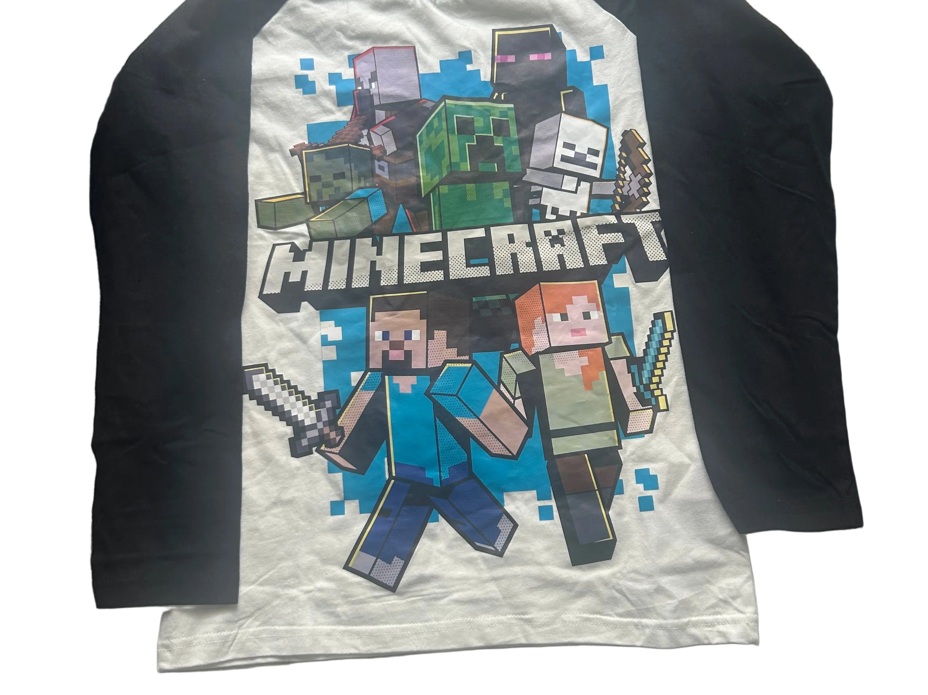 Minecraft (10)