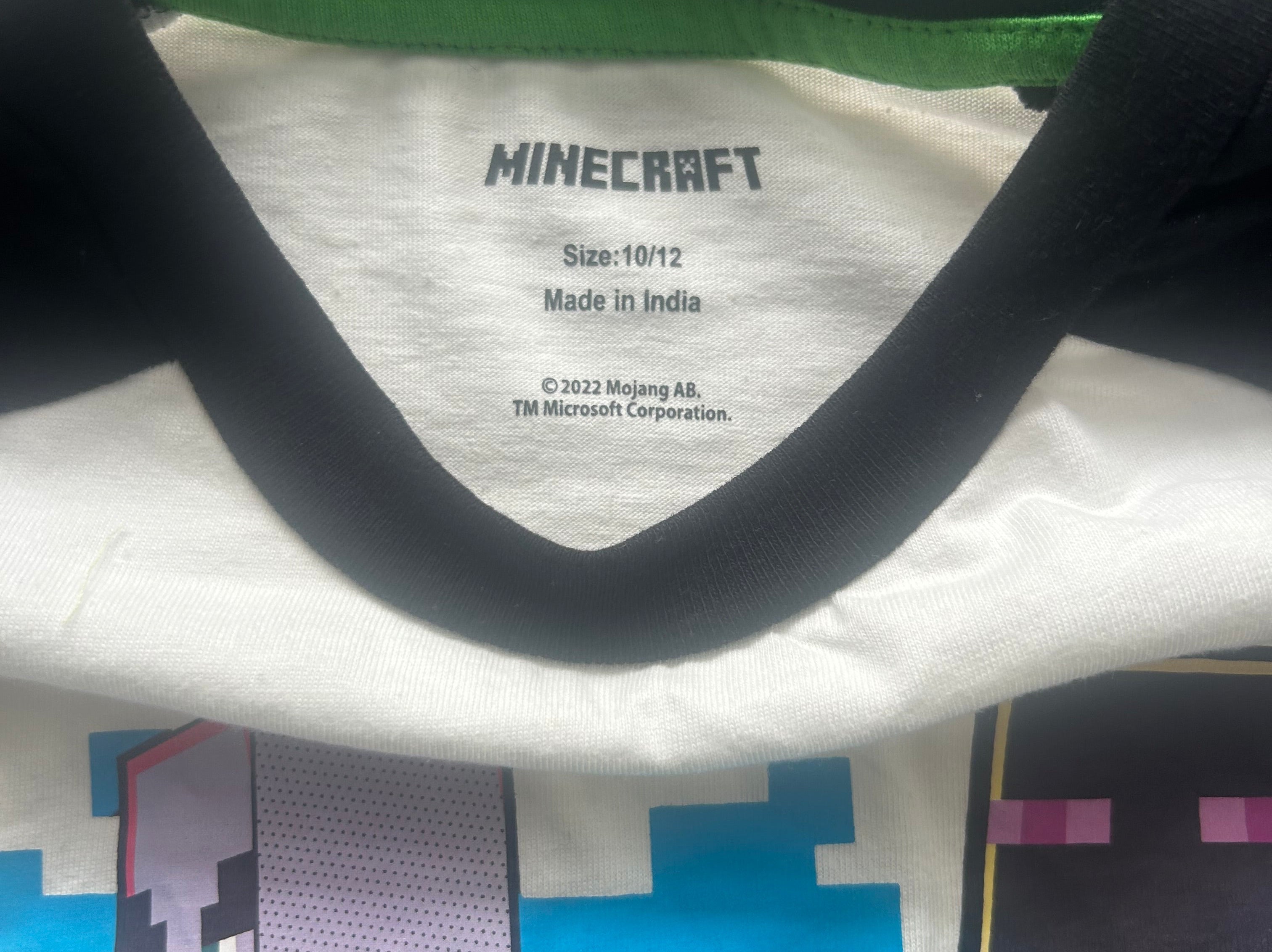 Minecraft (10)