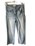 BKE Jeans (28X27)